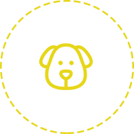Chien